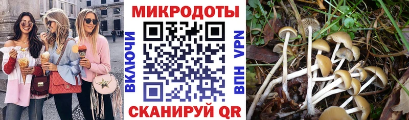 Псилоцибиновые грибы MAGIC MUSHROOMS  Горнозаводск 
